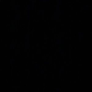 Meet your Posher, Aniya